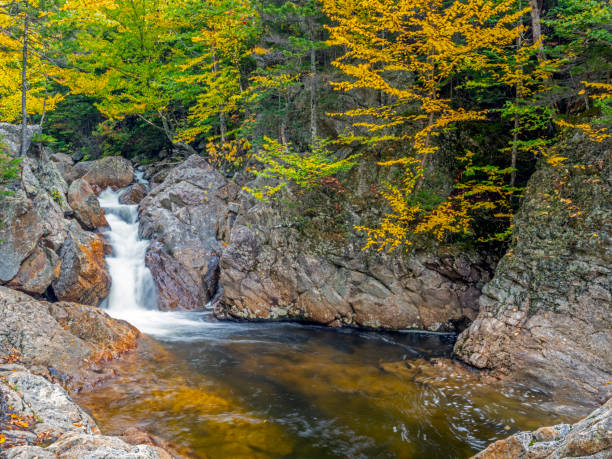istock Along the Kancamagus Highway 1190588897