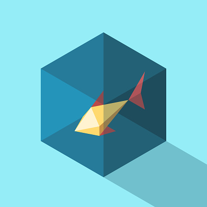 Pool Fish Isometric Isometric Fish In Bowl Stock Illustration - Download Image Now ...