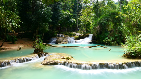 Picture taken at Tat Kuang Si Waterfalls