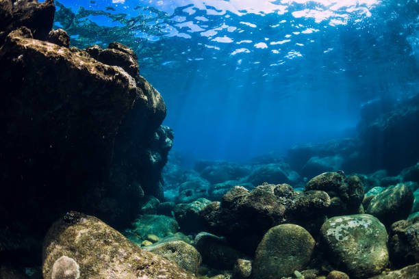 istock Tranquil underwater scene with copy space. Tropical transparent ocean with corals and rocks 1190591837