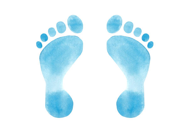 ilustrações de stock, clip art, desenhos animados e ícones de watercolor set with blue baby foot print - bebés meninos