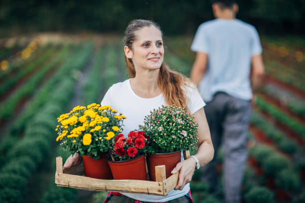 istock Woman working on flower farm 1190602184