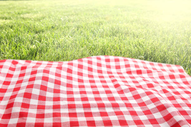 Picnic cloth on green grass background empty space. Green grass red checked picnic cloth top view background.Food advertisement design backdrop. picnic stock pictures, royalty-free photos & images