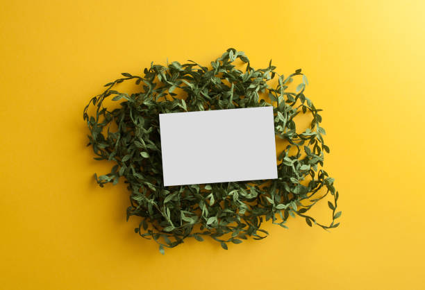 greeting card with green climbing branches