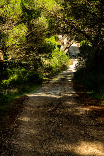 istock On the Mountain Road #5 1190613359