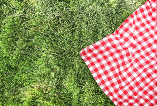 tissu de pique-nique sur l'espace vide vide de fond d'herbe verte. - plaid textile red cotton photos et images de collection