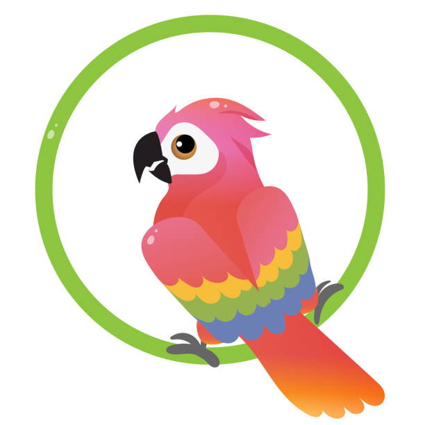 Animated Movie About a Macaw  : A Colorful Adventure of a Talkative Parrot