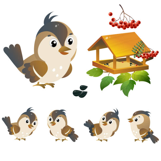 Sparrow Color Image Of Cartoon Bird With Feeder On White Background Vector  Illustration Set For Kids Stock Illustration - Download Image Now - iStock