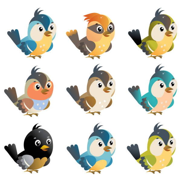 ilustrações de stock, clip art, desenhos animados e ícones de color images of cartoon birds on white background. vector illustration set for kids. - cheeper