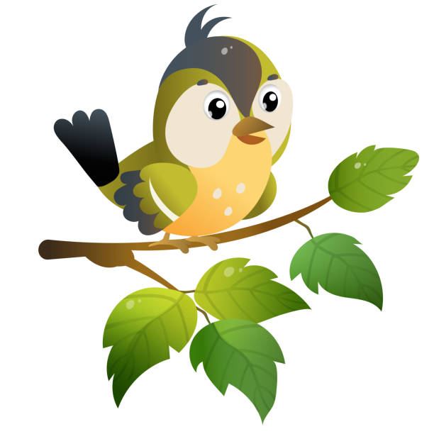 ilustrações de stock, clip art, desenhos animados e ícones de titmouse. color image of cartoon bird on branch on white background. vector illustration for kids. - cheeper