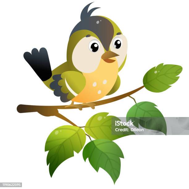 Titmouse Color Image Of Cartoon Bird On Branch On White Background Vector  Illustration For Kids Stock Illustration - Download Image Now - iStock