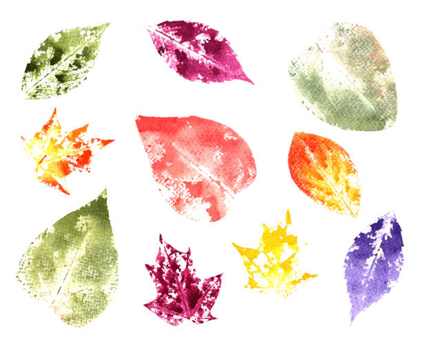 istock Watercolor hand made textured autumn leaves stamps. 1190626567