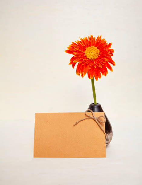 istock Beautiful fresh orange daisy flower in ceramic vase 1190626641
