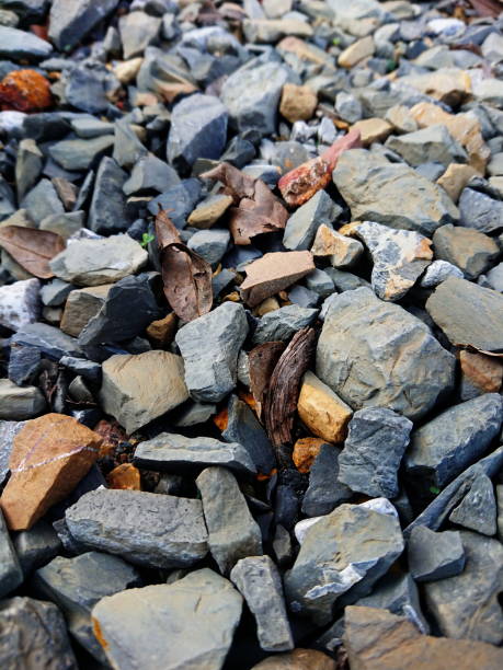 istock Gray pebbles small gray stones 1190627428
