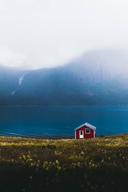 Lonely abandoned red house on the meadow with view of the mountains and waterfall in Norway Scenic view of lonely red beautiful house staying at the seashore on the yellow glass flowers meadow with view of fjord, mountains and waterfall during foggy rainy day on Senja island, Northern Norway senja island photos stock pictures, royalty-free photos & images