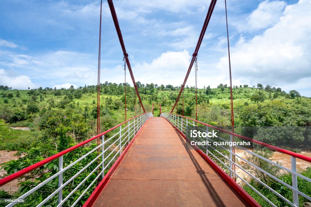 suspension bridge in the rainforest Architecture Stock Photo
