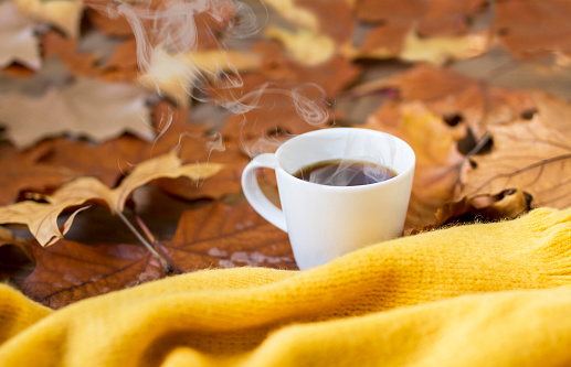 Autumn season stock photo. Cup of coffee wrapped in yellow scarf and autumn leaves.