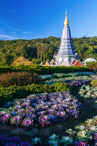 Scenery ornamental garden and elegant pagoda on the mountain peak, evergreen forest in the background, tourist attractions in Doi Inthanon, Chiang Mai, North Thailand.