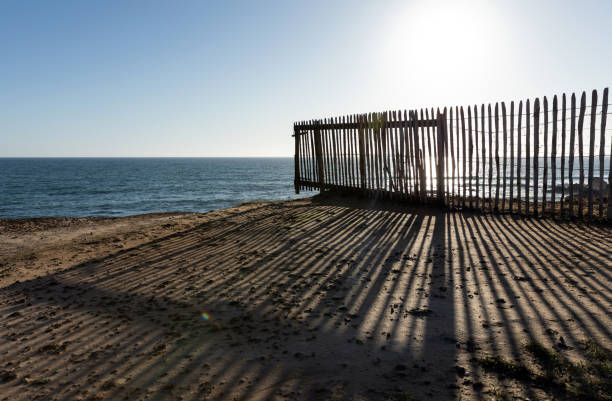 Pacific Ocean waves crash below a cliff with a wooden fence