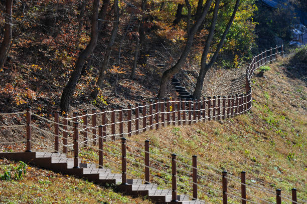 Wooden stairs