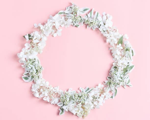 istock Nature floral round frame on pink background. ornament with white fresh hydrangea flowers, petals, and green leaves. flat lay, square frame 1190638071