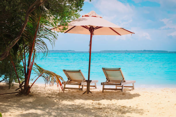 istock Two beach chairs on tropical sea vacation 1190638687
