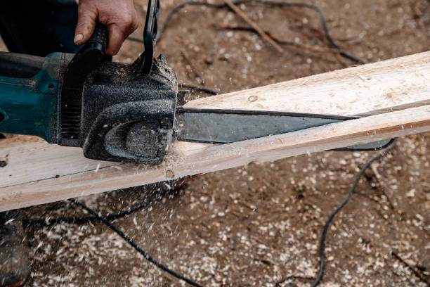istock work with a power saw at wood 1190639853