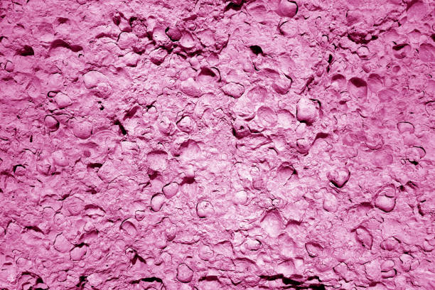 Shell rock stone close-up in pink tone. Abstract background and texture for design.
