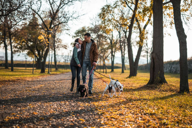 istock Autumn love outdoor at sunset 1190640254