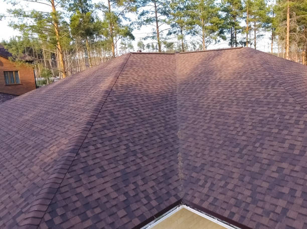 Bituminous tile for a roof. House with a roof from a bituminous