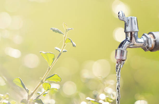 an outdoor faucet in the garden, ideal for outdoor water, a connection for a hose is available