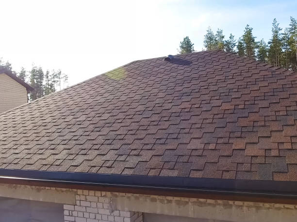 istock Bituminous tile for a roof. House with a roof from a bituminous 1190643202