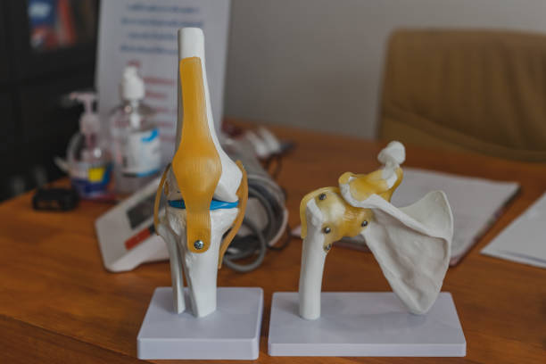 istock Knee joint and scapula model on table in Physiotherapy clinic 1190643618