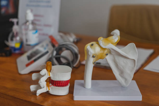 istock Scapula and Lumbar spine model on table in Physiotherapy clinic 1190643659