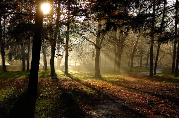 istock Park with Autumn colors 1190644755