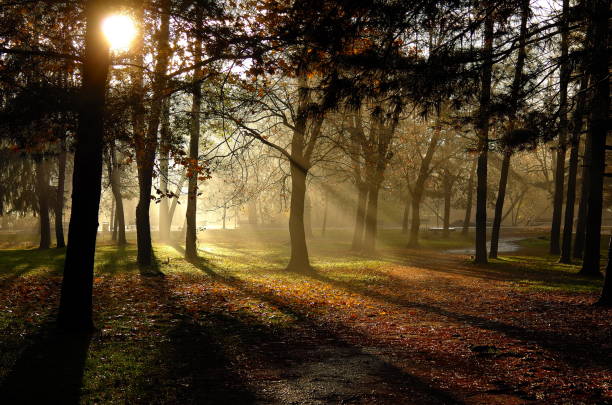 istock Park with Autumn colors 1190644758