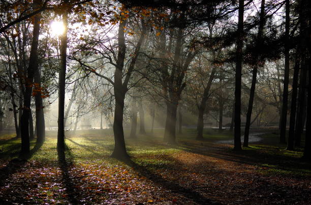 istock Park with Autumn colors 1190644784