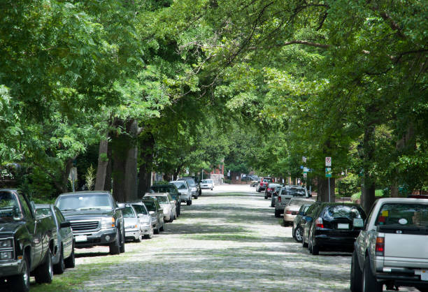 The view of green W Freemason Street in Norfolk old town (West Virginia).