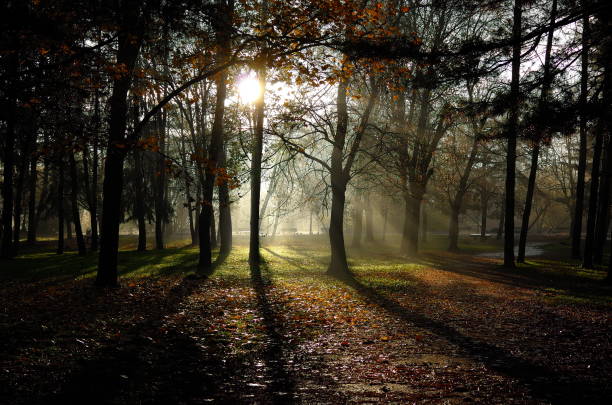 istock Park with Autumn colors 1190644795