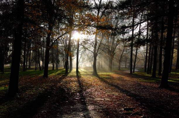 istock Park with Autumn colors 1190644806