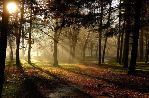 istock Park with Autumn colors 1190644810