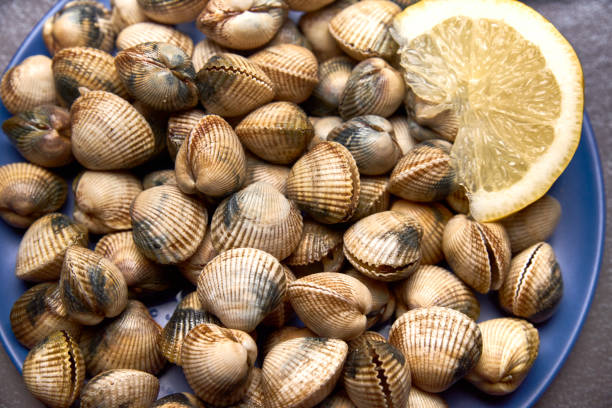 istock view of fresh cockles on a plate 1190646079