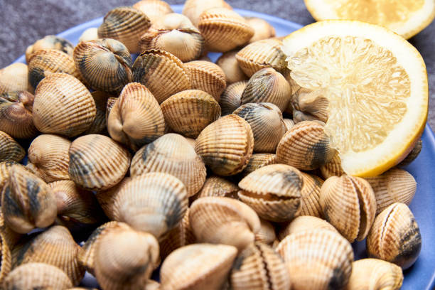 istock view of fresh cockles on a plate 1190646129