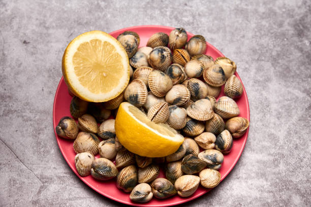 istock view of fresh cockles on a plate 1190646131