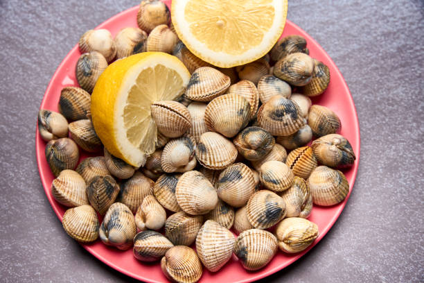 istock view of fresh cockles on a plate 1190646156