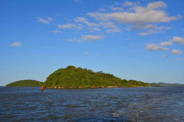 istock Beautiful scenery at Babitonga Bay 1190646170