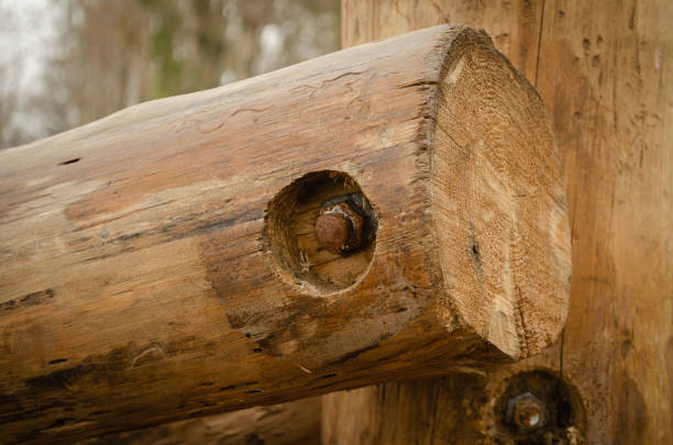 les poutres en bois sont reliées professionnellement par un boulon d'ancrage et un écrou. - eye bolt photos et images de collection