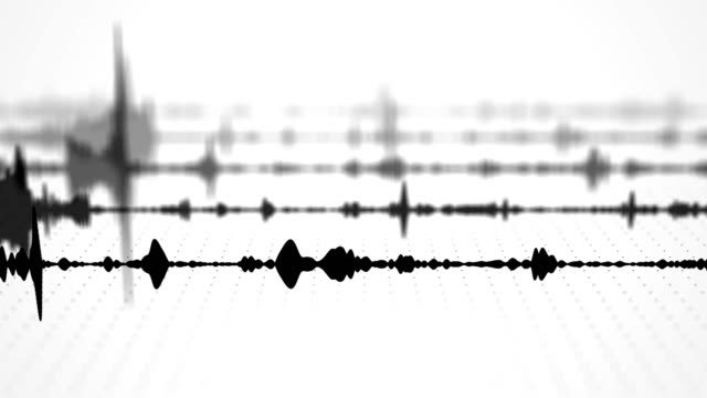 A black and white audio waveform spectrum visualization effect with multiple blurred tracks and dotted grid background