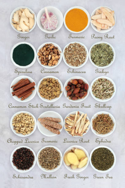Asthma Relieving Herbs and Spices Asthma and respiratory relieving herbs, spice and supplement powders used in natural and chinese herbal medicine in porcelain bowls with titles. Flat lay. anti inflammatory stock pictures, royalty-free photos & images