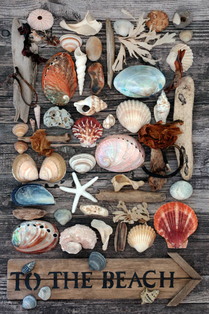 istock Holiday Time at the Beach Abstract 1190649579